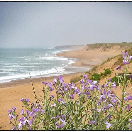 Appartement Desiree Arago 400m De La