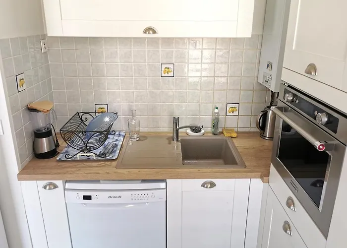 Desiree Arago 400m De La 莱萨布勒-多洛讷